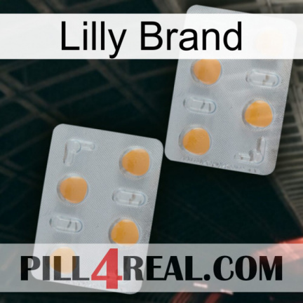 Lilly Brand 25